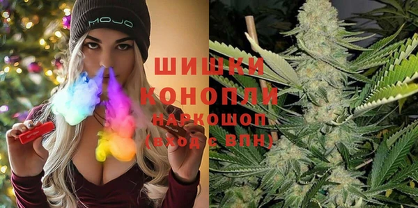 гашик Алексин