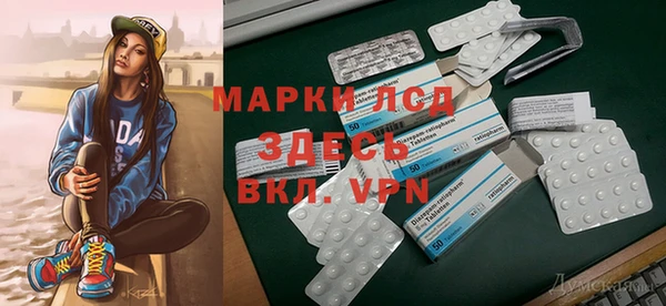 стафф Новозыбков