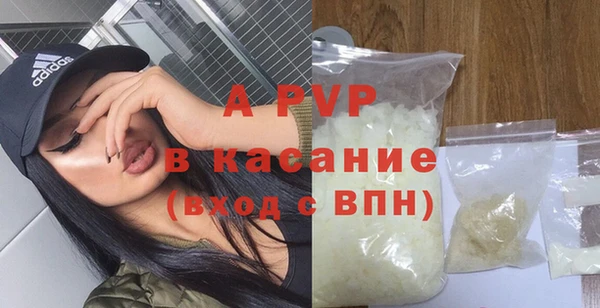 гашик Алексин